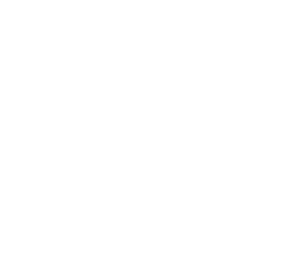 fundament_sw