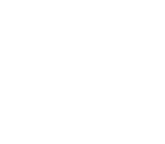 interdis_sw